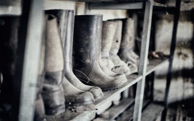 Gummistiefel – das ultimative Must-Have für den Herbst