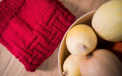 VERO MODA Strickpullover: gemütlich durch Herbst & Winter