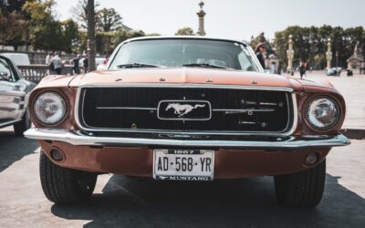 Mustang Mode & Bekleidung