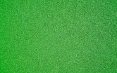 Grün – So lässt sich die Trendfarbe des Sommers kombinieren